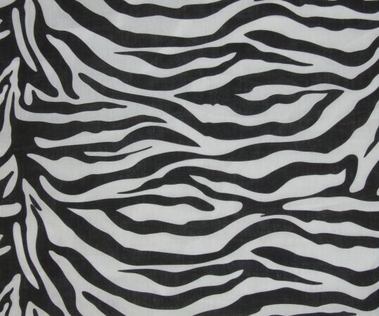 Zebra Print 