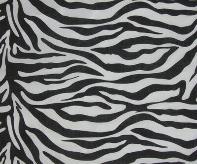 Zebra Print 