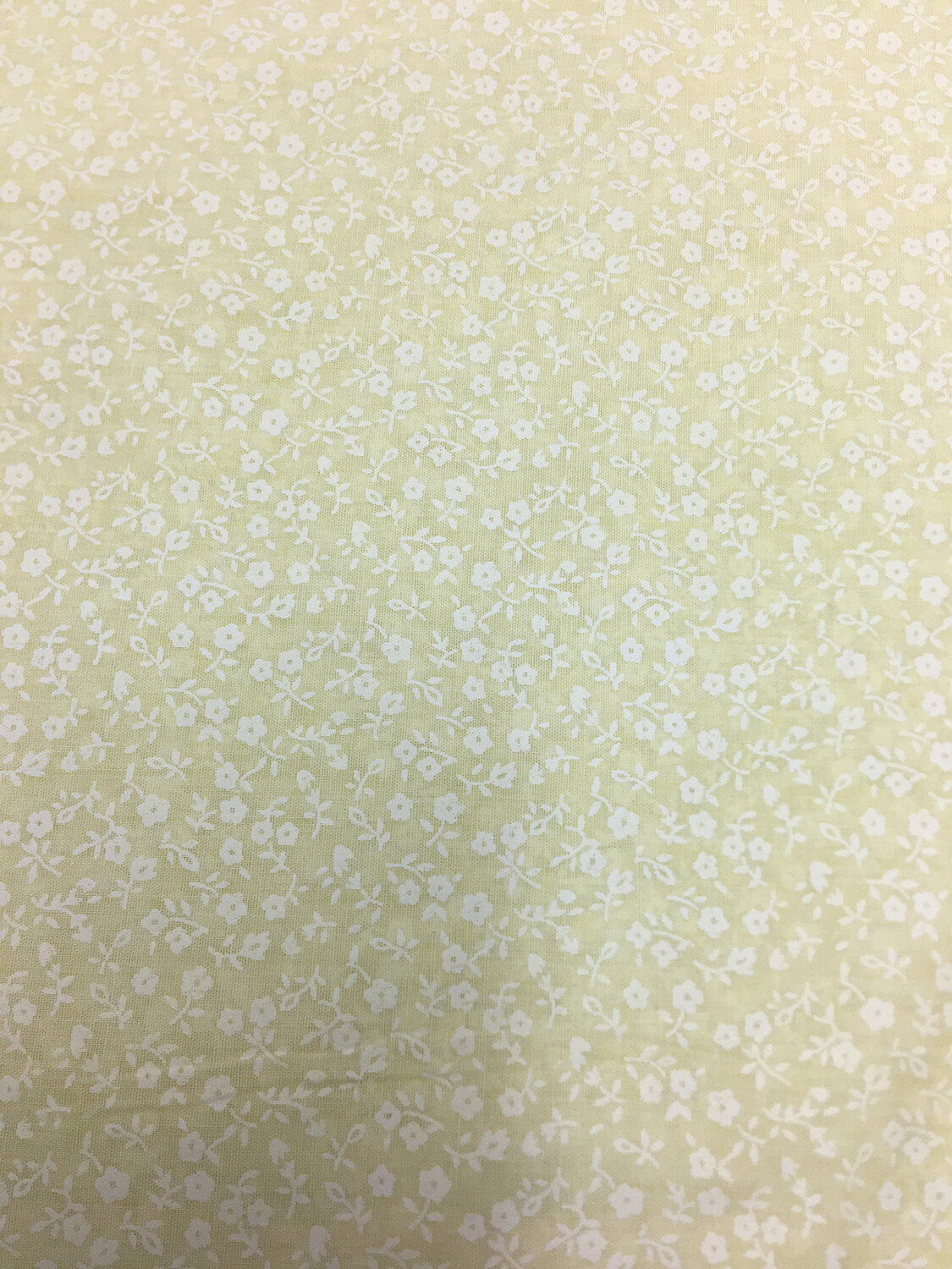 Speckle Yellow Flower