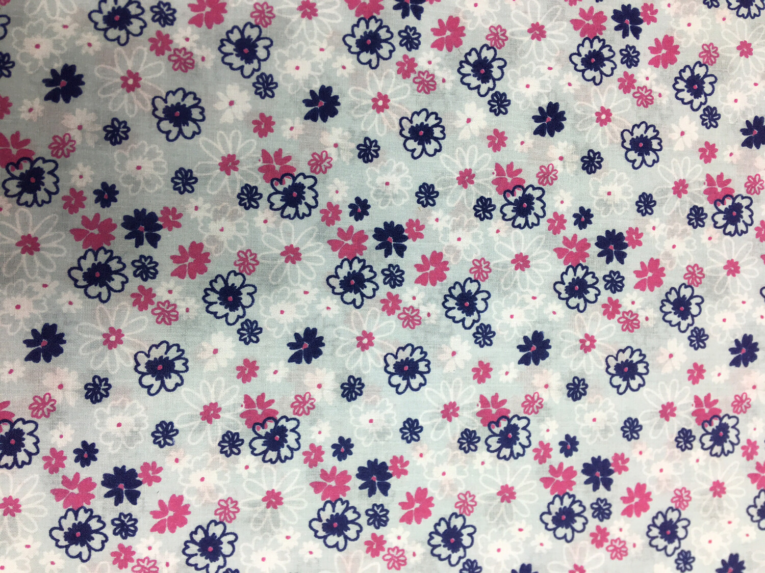 Daisy On Pale Blue