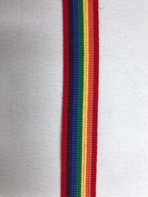Rainbow Webbing 30mm