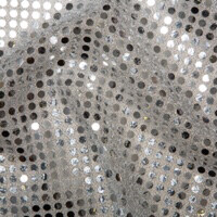 Sequin Silver