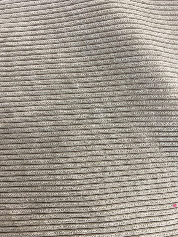 Corduroy 8 Whale Beige