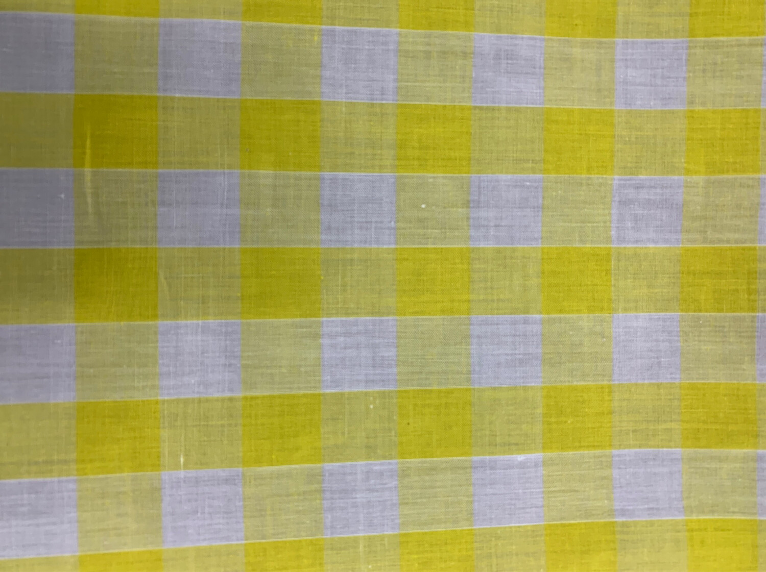  1” Gingham Yellow