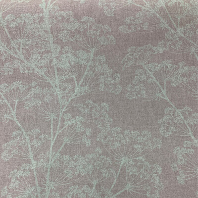Wild  Parsley Flower Soft Pink