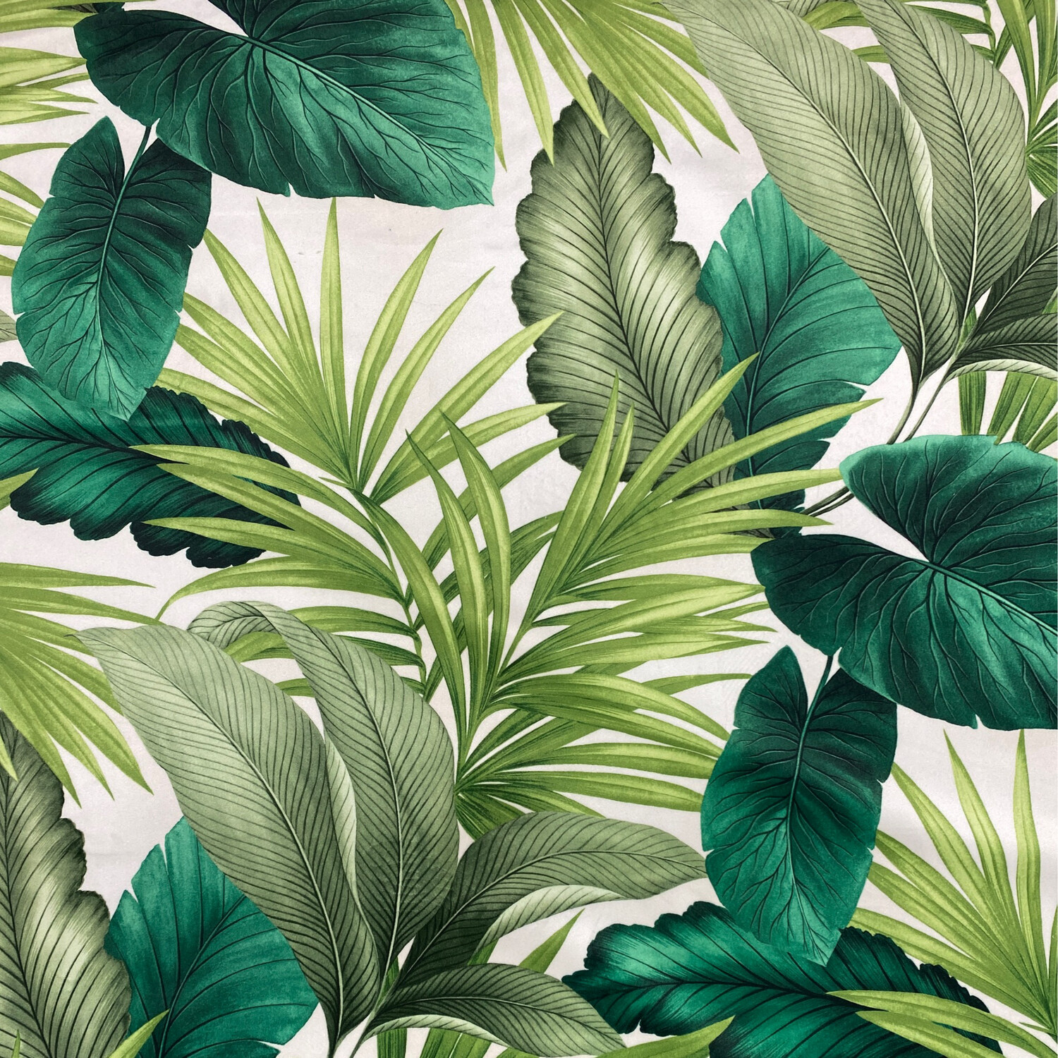 Botanical Velvet Palm Green