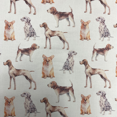 Digital Print Dogs