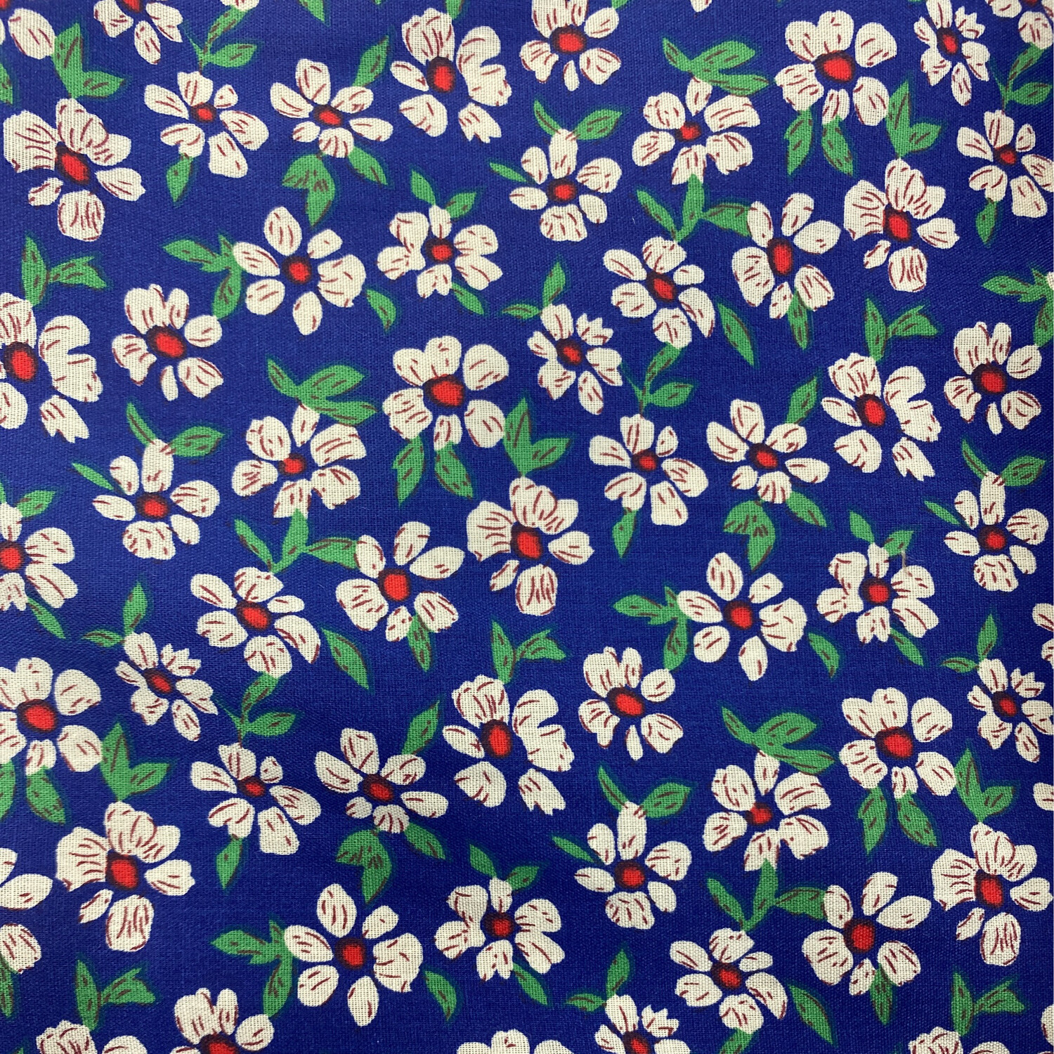 Daisy Dream On Blue
