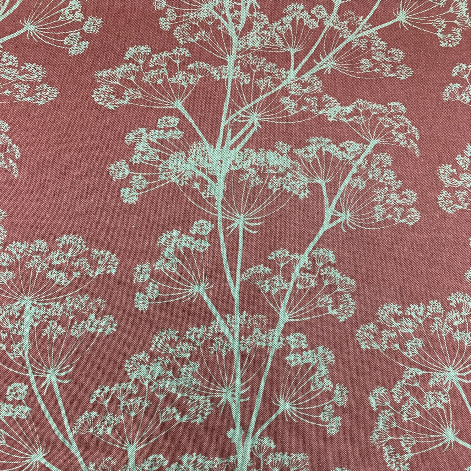 Wild  Parsley Flower Soft Red