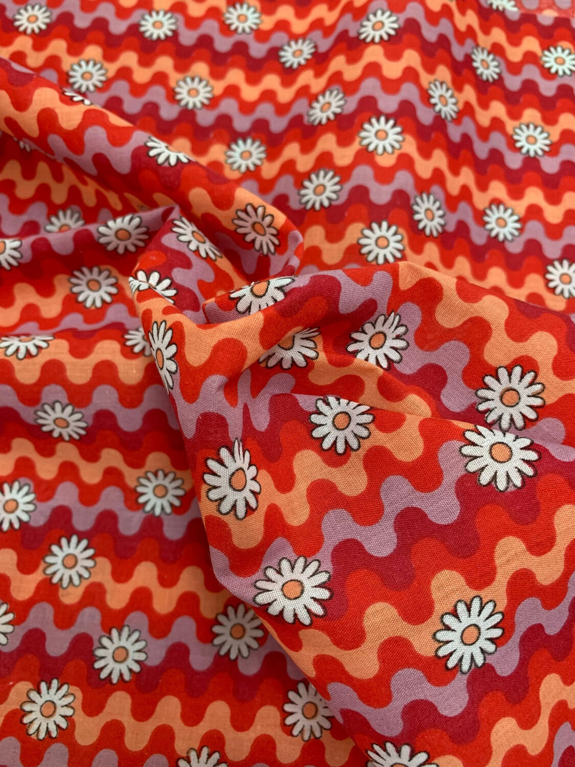 Sunset Daisy Red