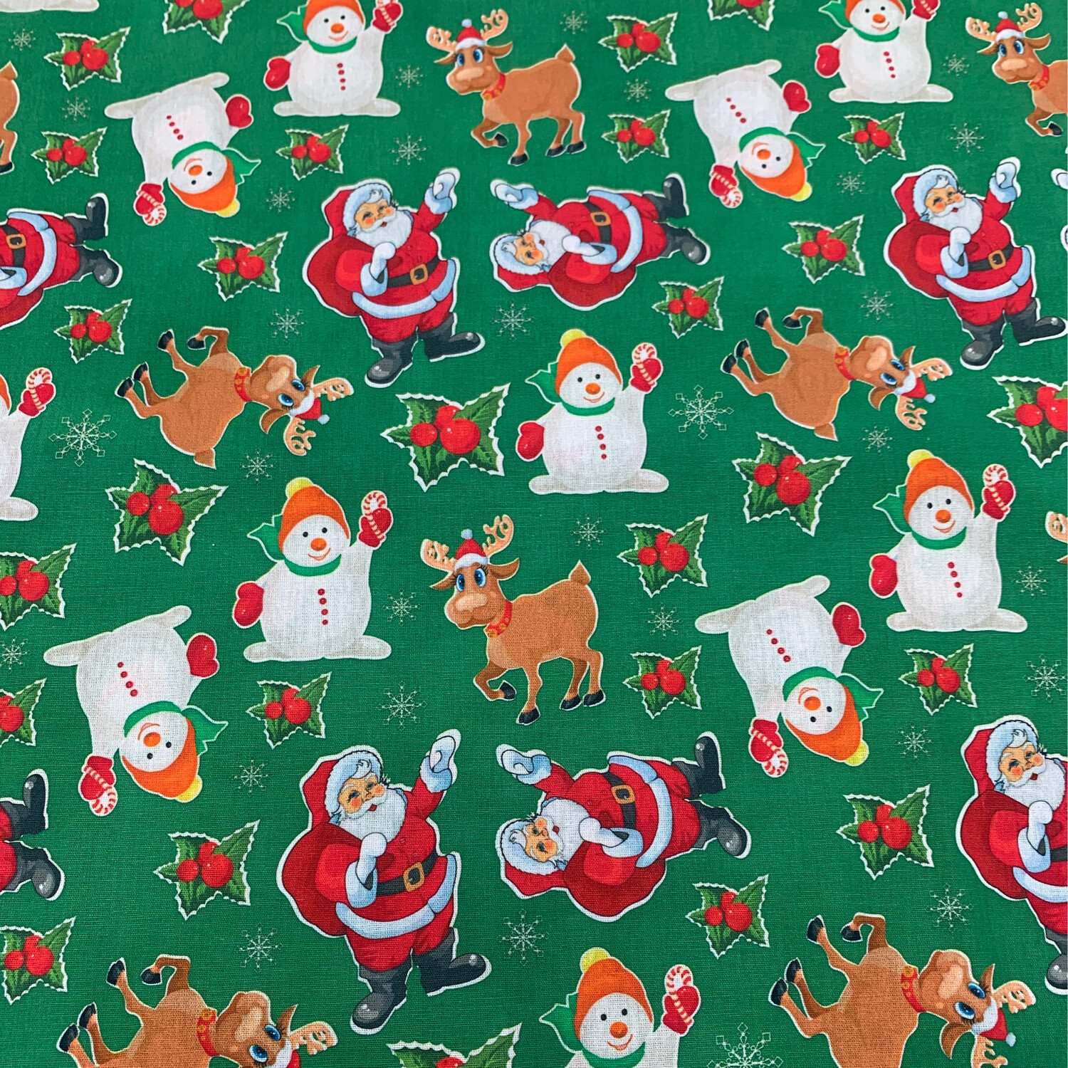 Santa And Friends