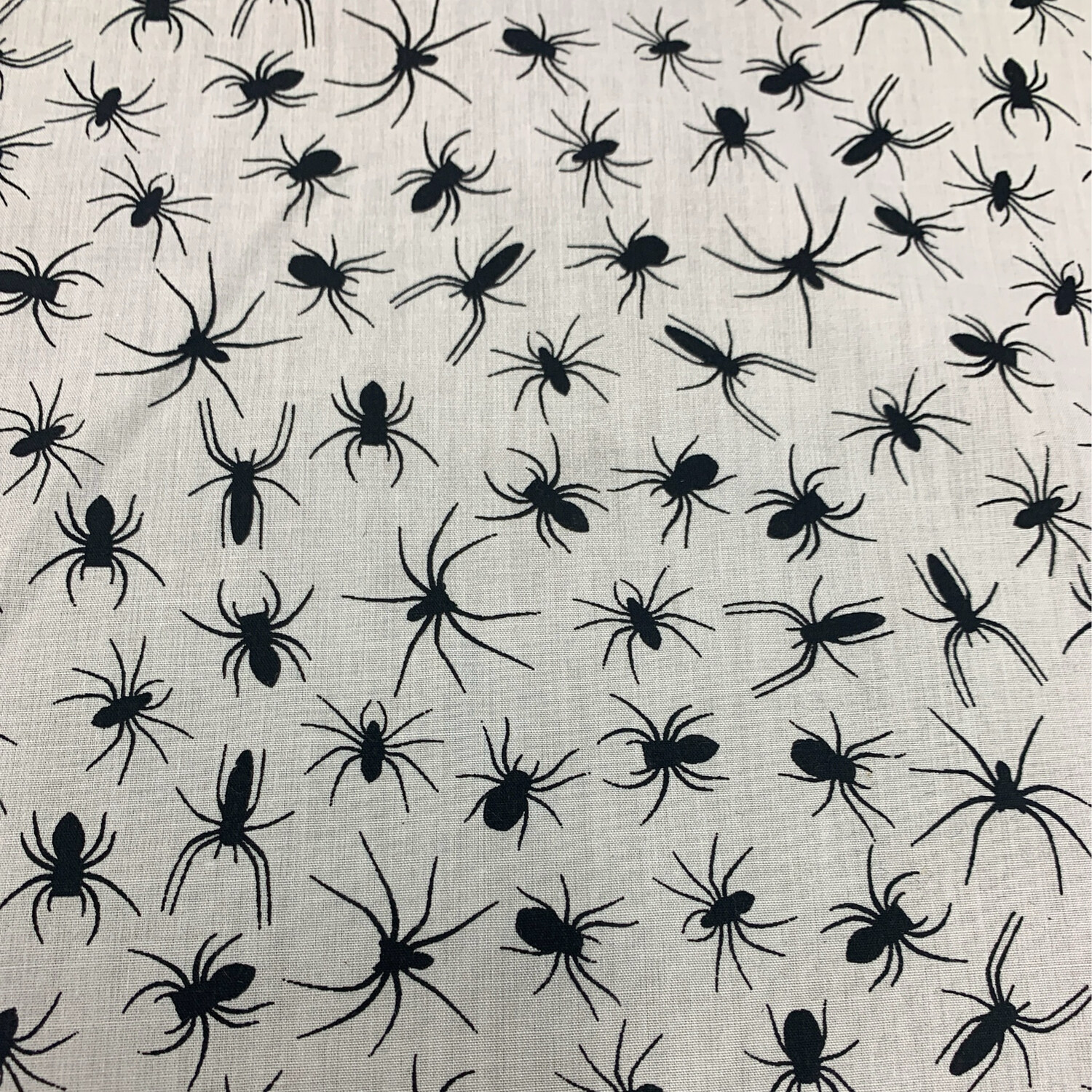 Mini Spiders On White