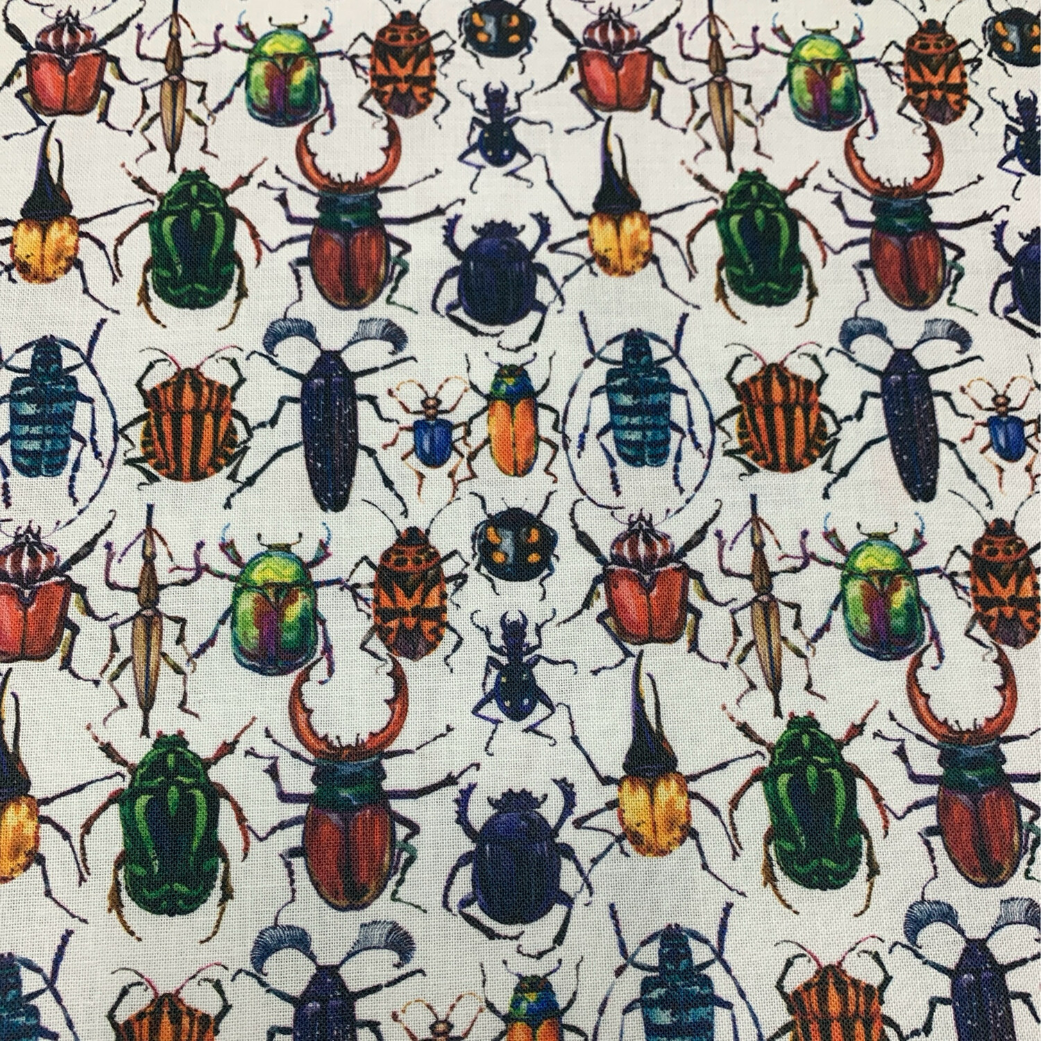 Digital Print Beetles