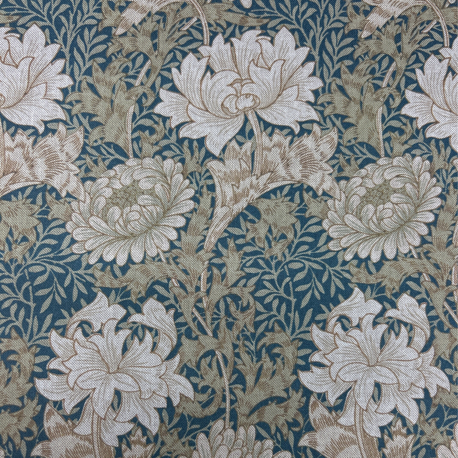 Lycian Indigo
