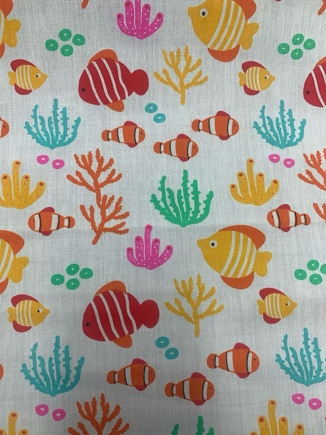 Fishing Frenzy White
