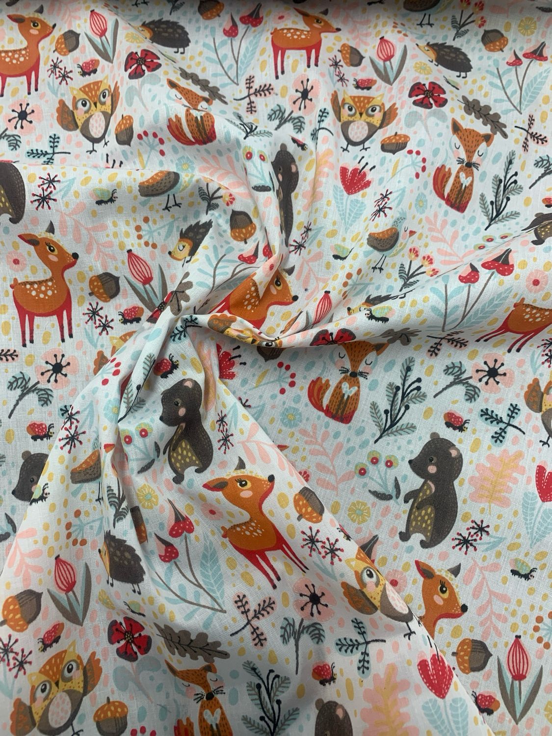 Forest Animals