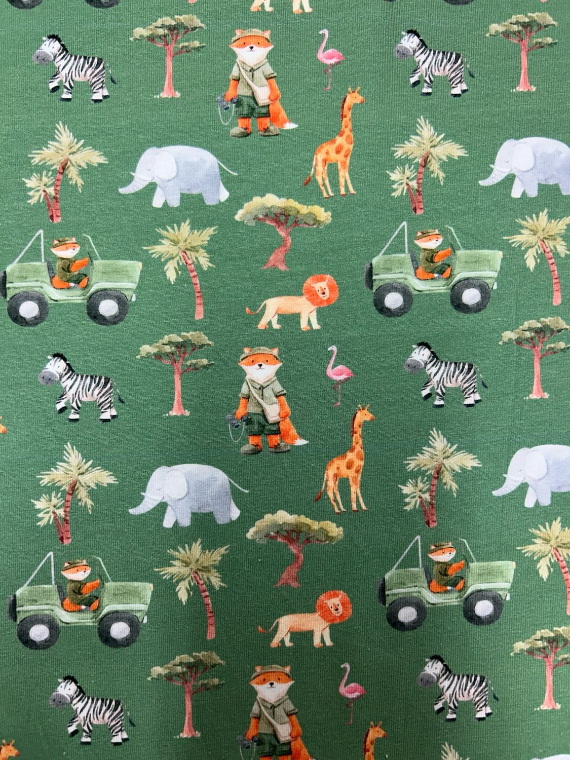 Little Johnny On Safari