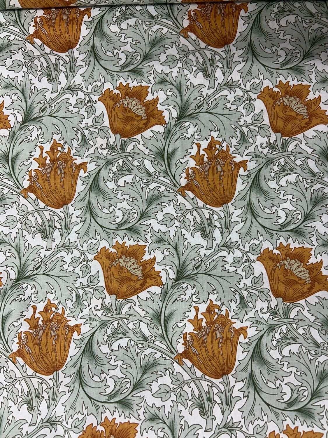 Shorwell Bloom Orange