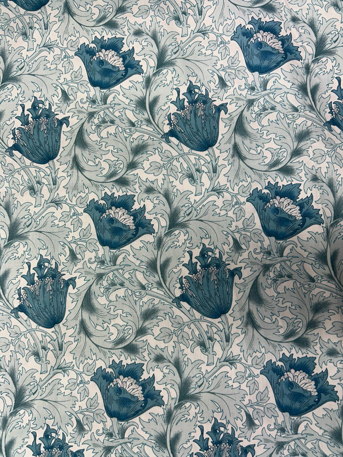 Shorwell Bloom Blue