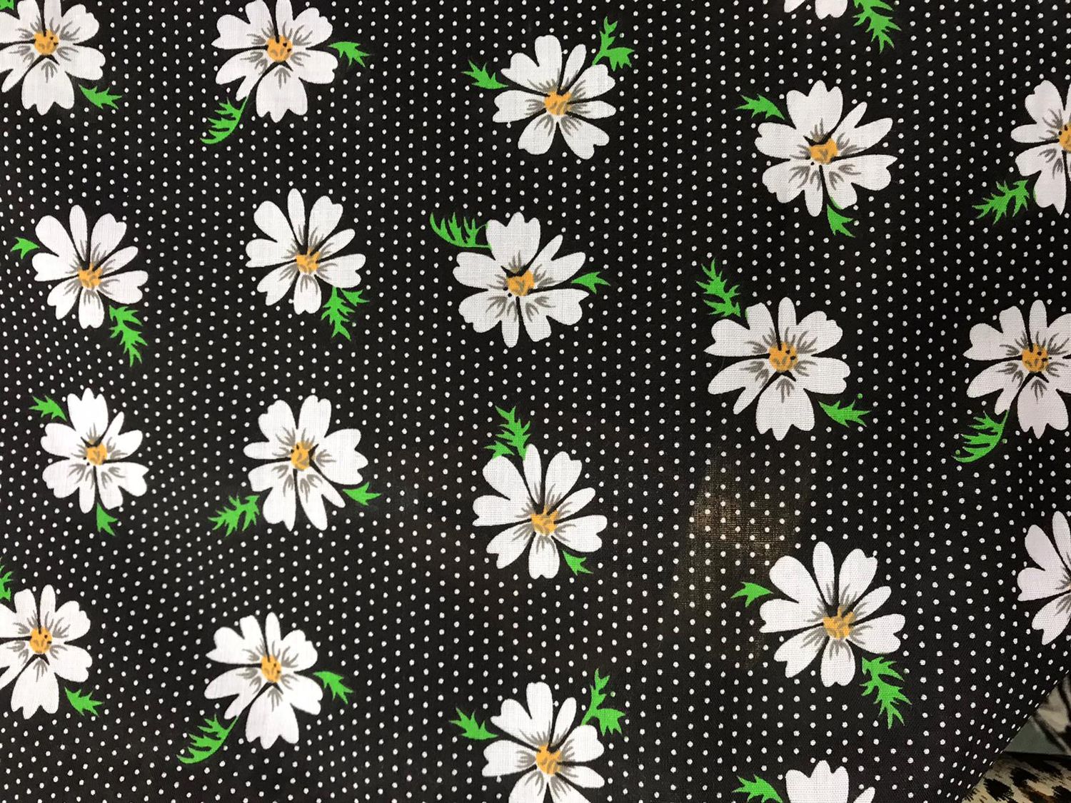 Spotty Daisy Black