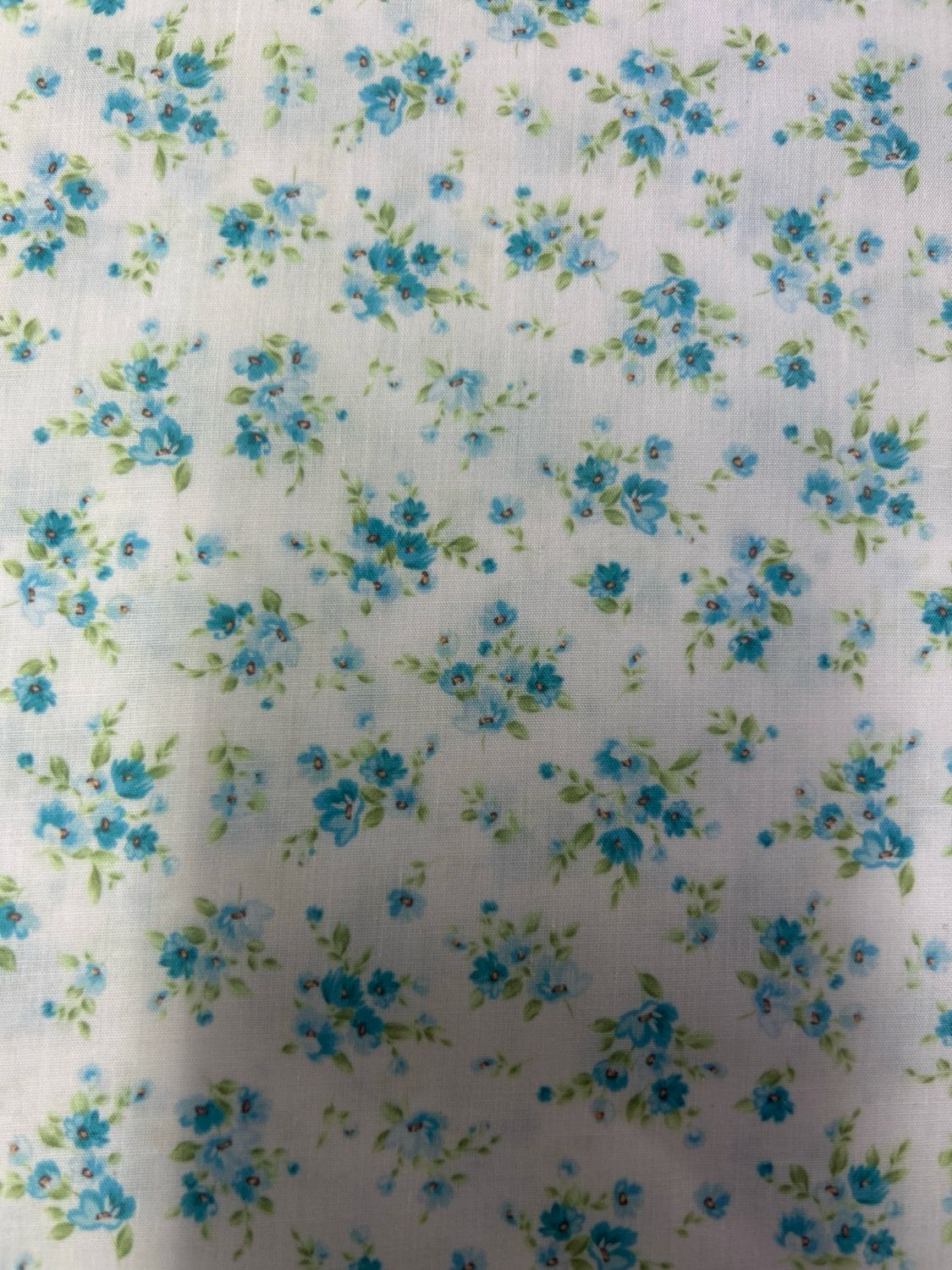 Summers Dream Turquoise