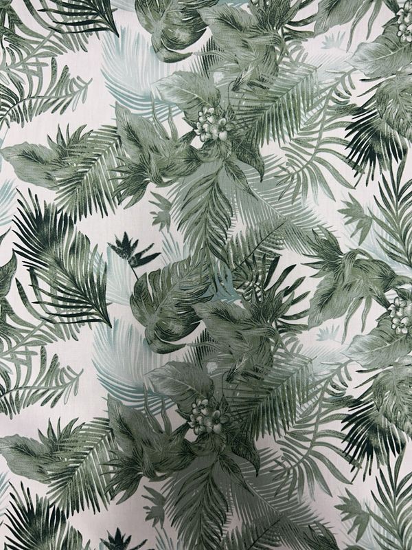 Ferns Blue
