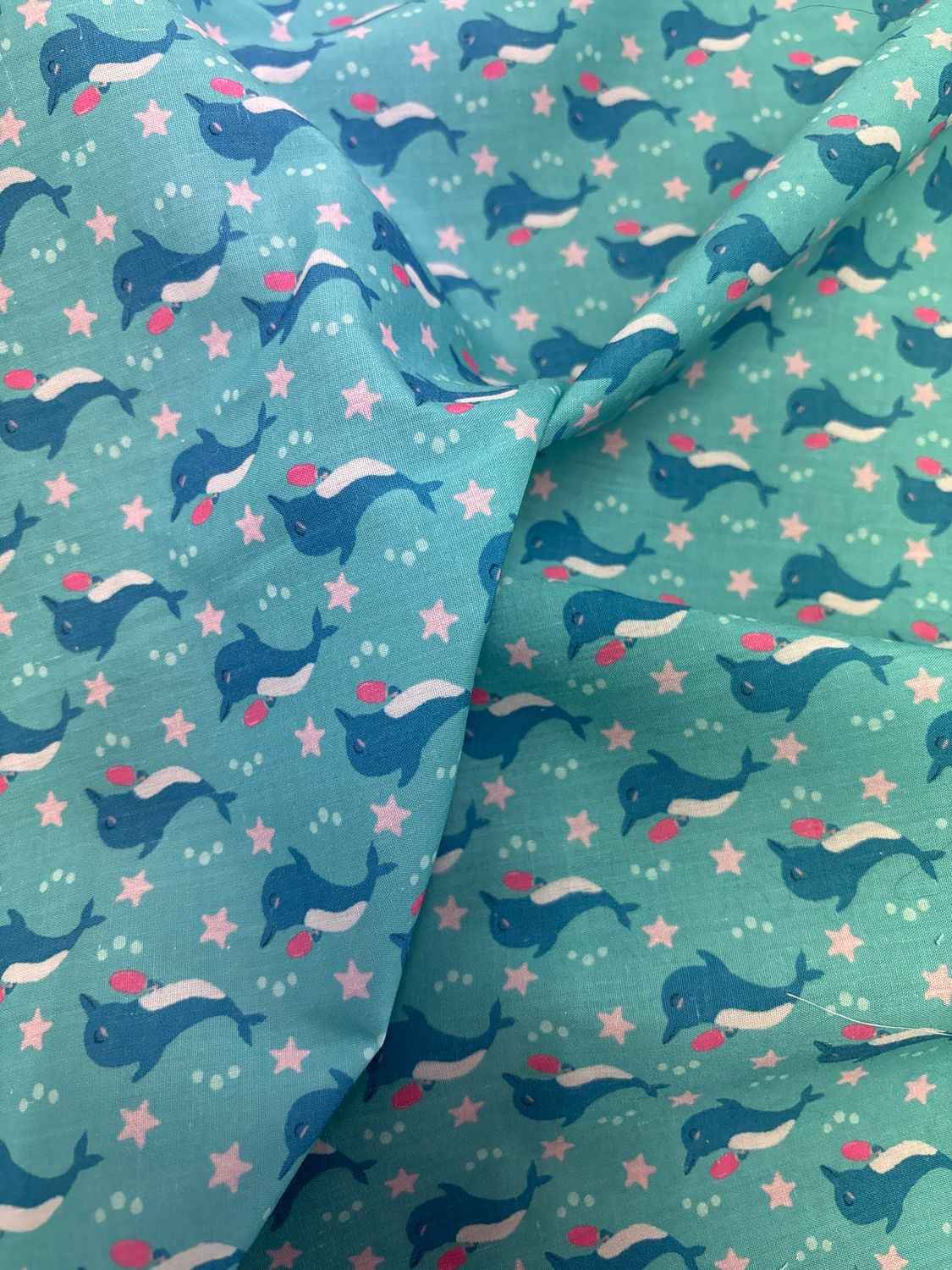 Dolphin Fun