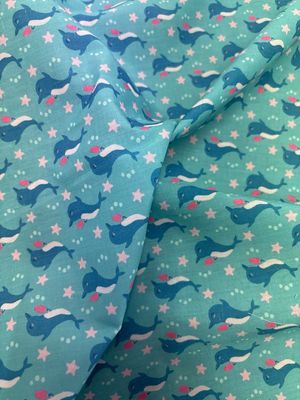 Dolphin Fun