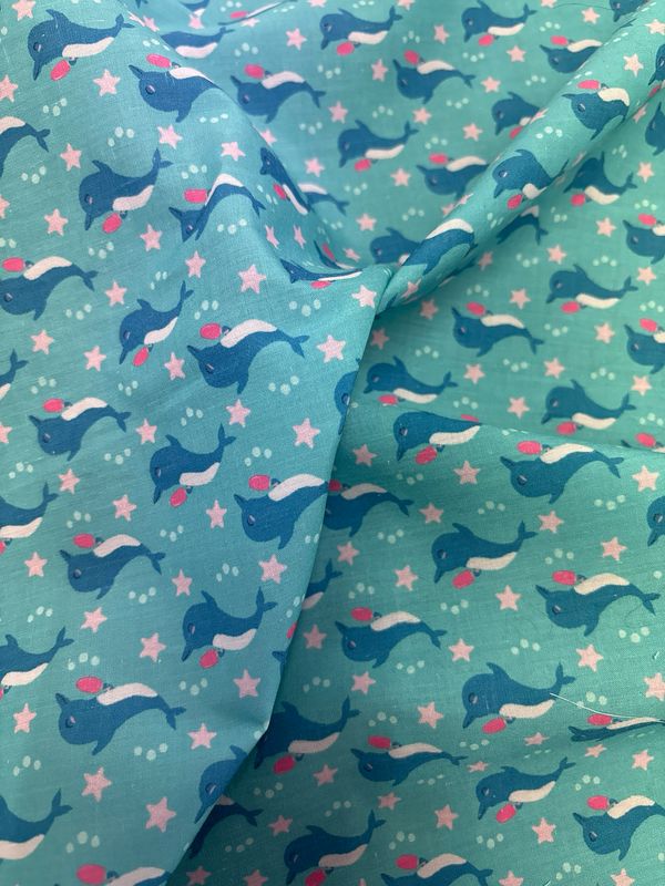 Dolphin Fun