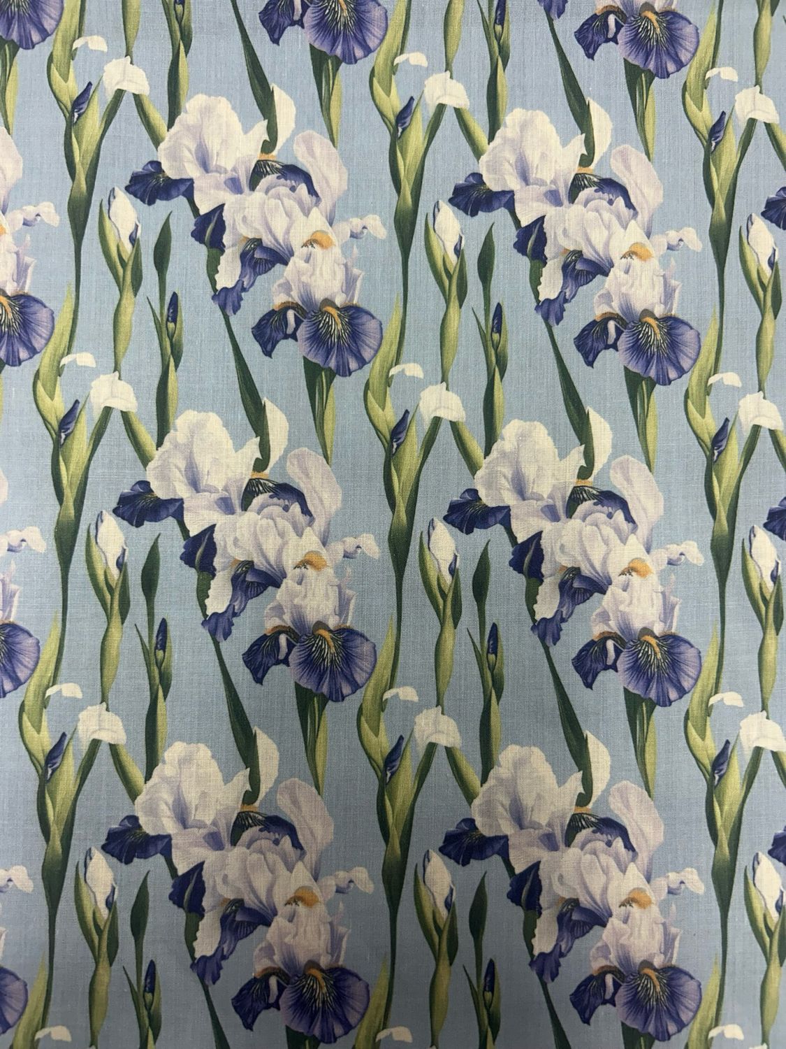 Digital Iris Flower Purple