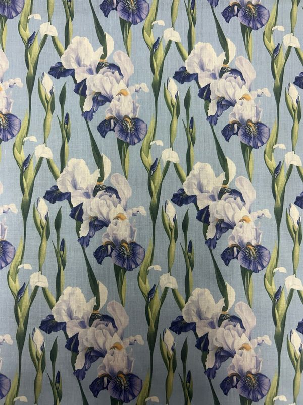 Digital Iris Flower Purple