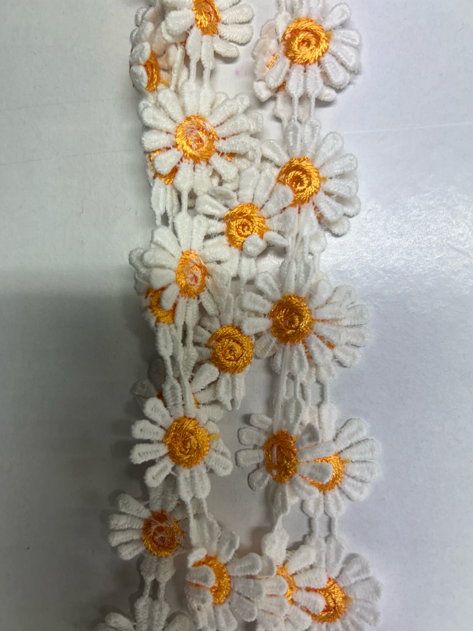 Daisy Trim Orange