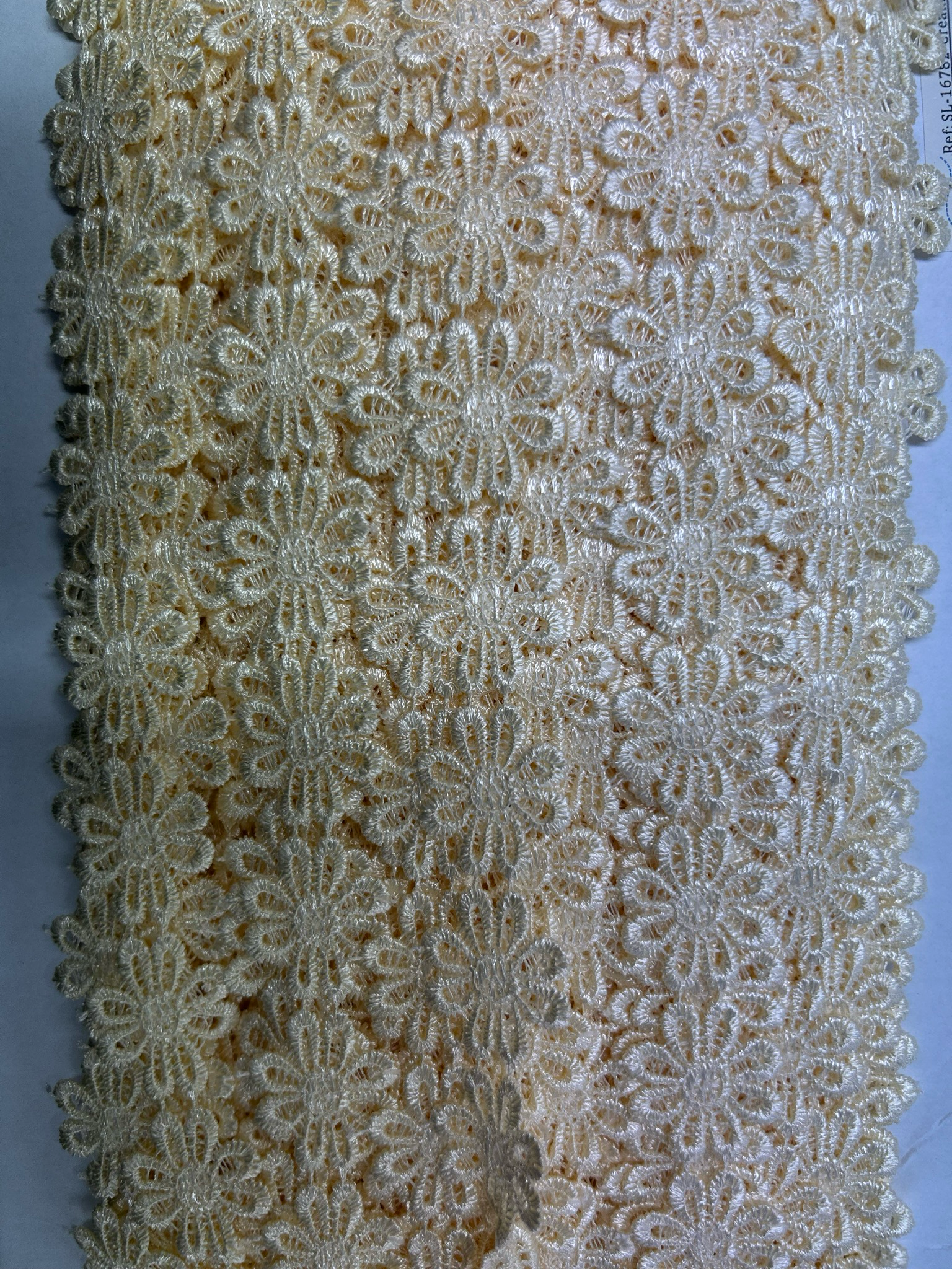 Cream Coloured Daisy