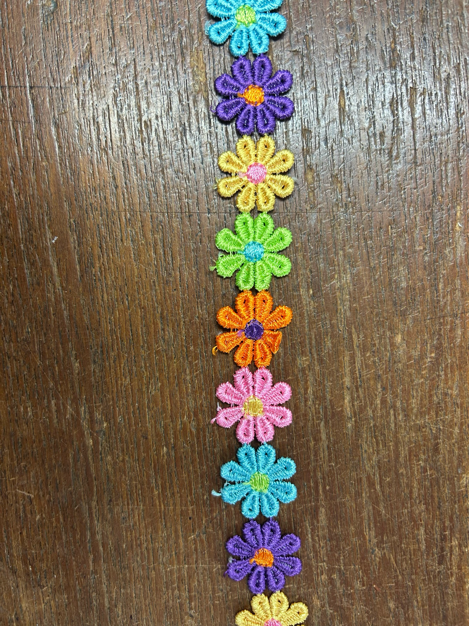 Multi Coloured Daisy Trim
