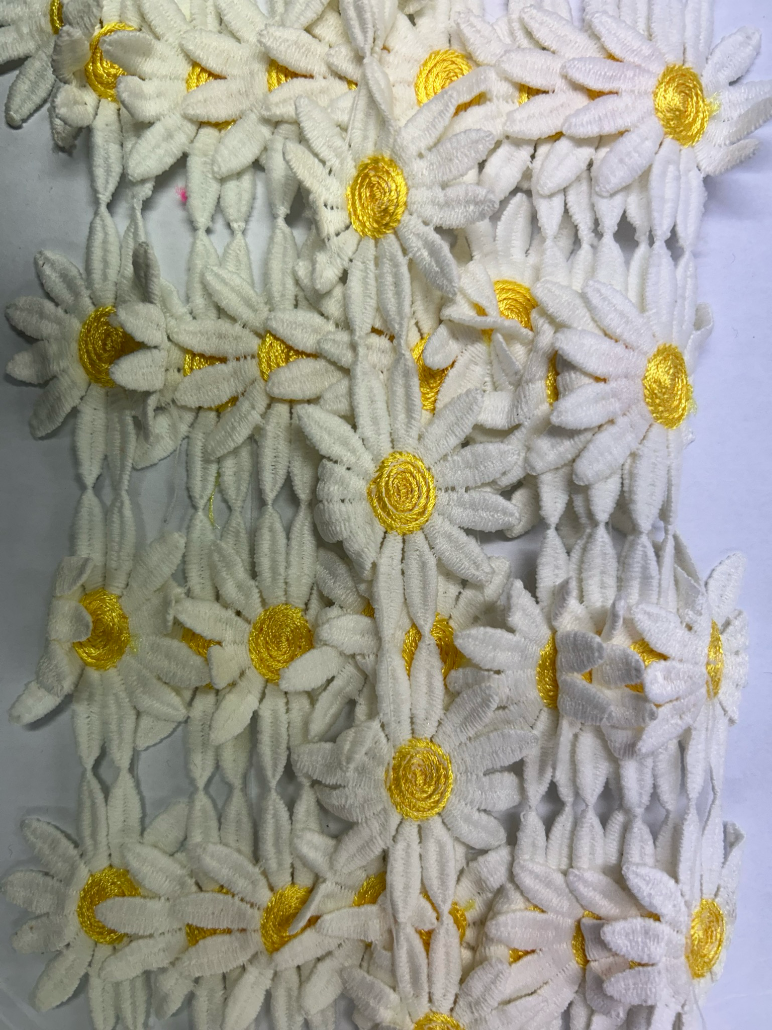 Yellow Large Petal Daisy