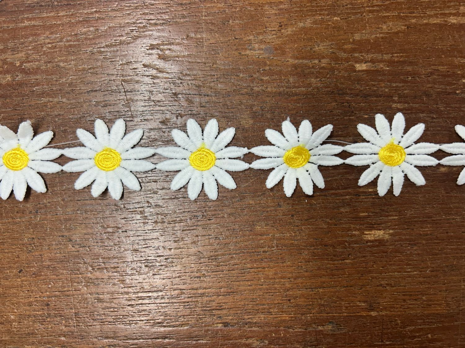 Yellow Large Petal Daisy