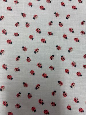 Lucky Ladybird