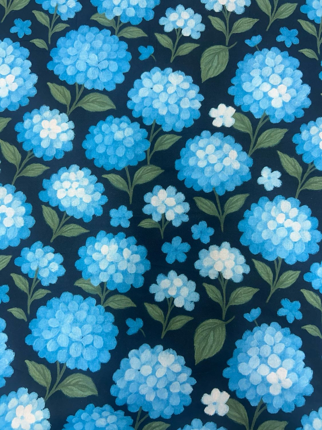 Midnight Hydrangea Bloom