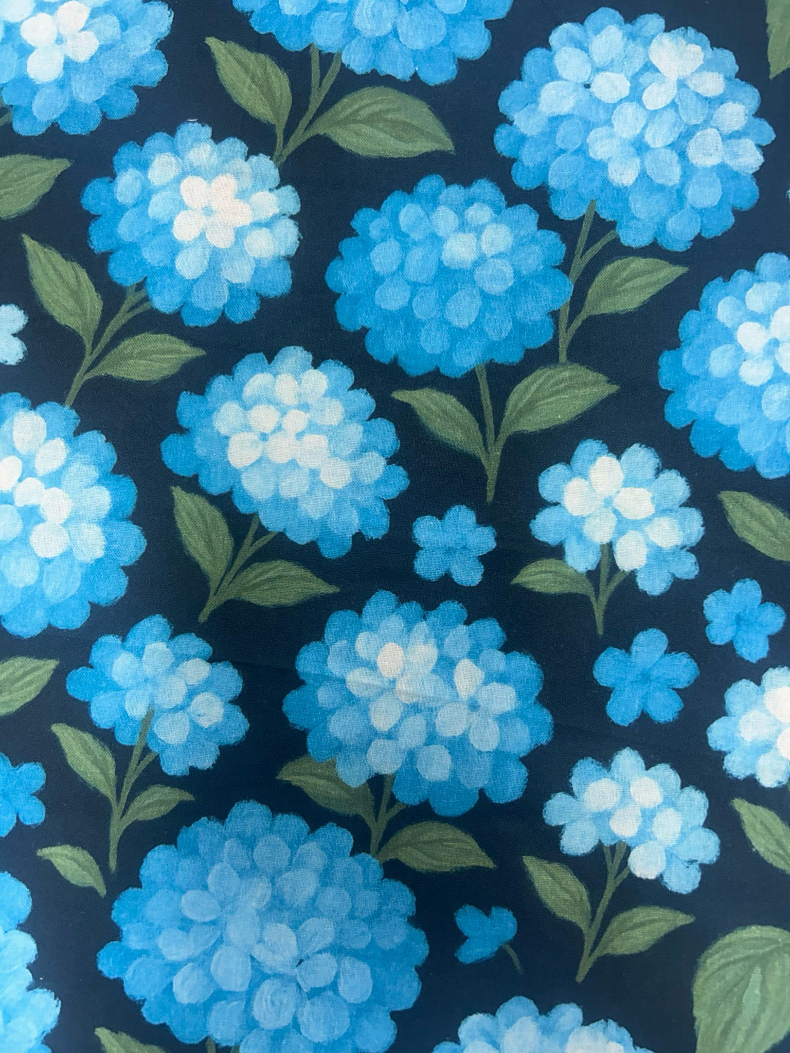 Midnight Hydrangea Bloom