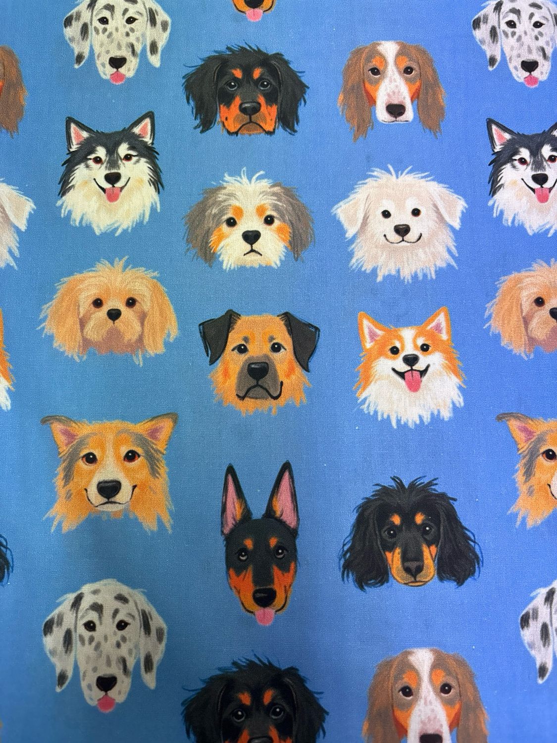 Dog Faces
