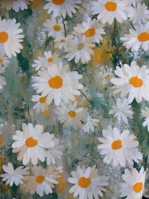 Giant Daisy
