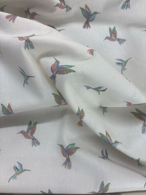 Birds