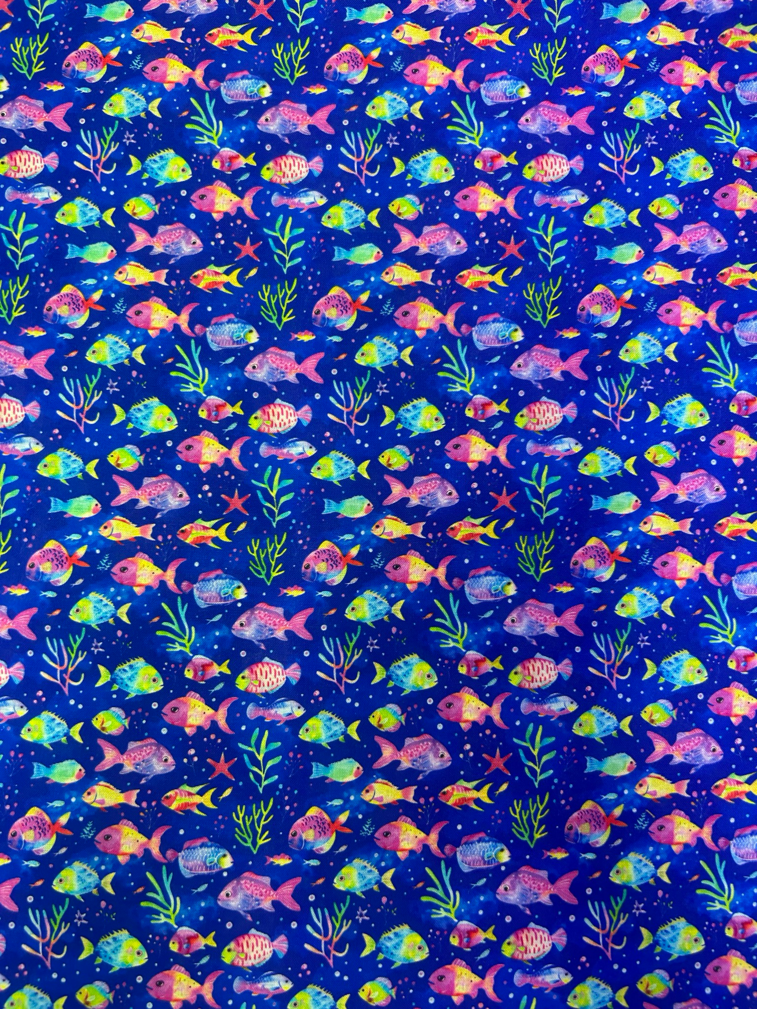Neon Fish