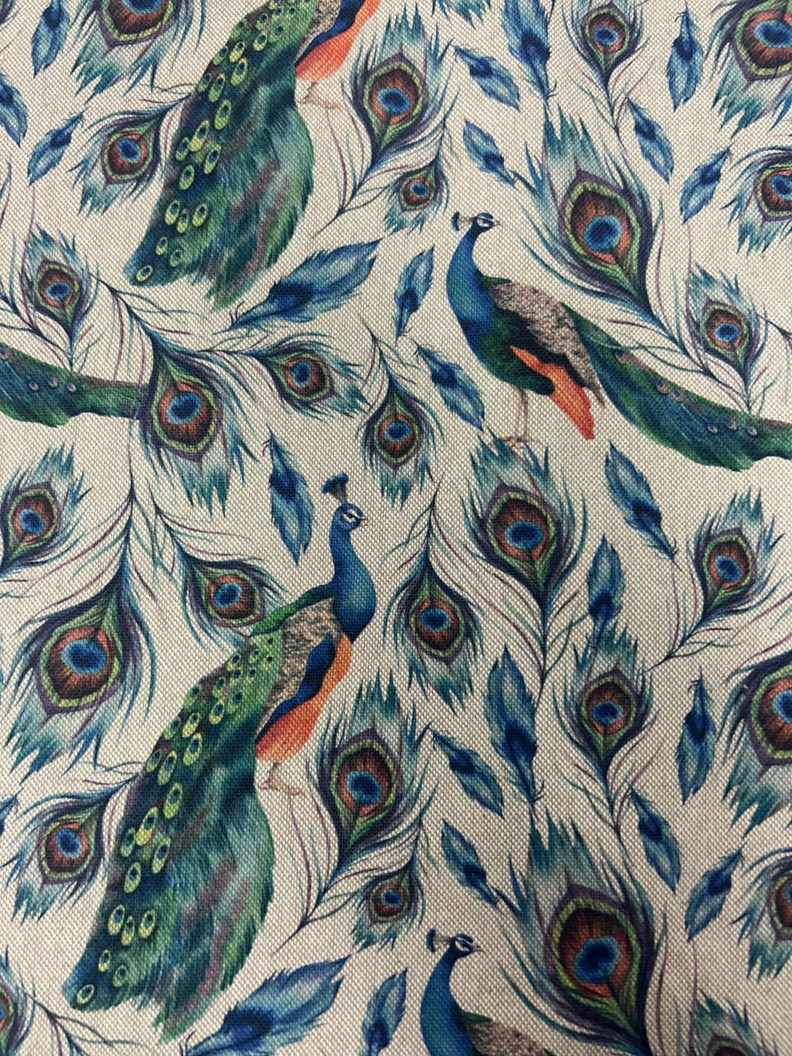 Digital Canvas Peacock Digital Canvas Peacock
