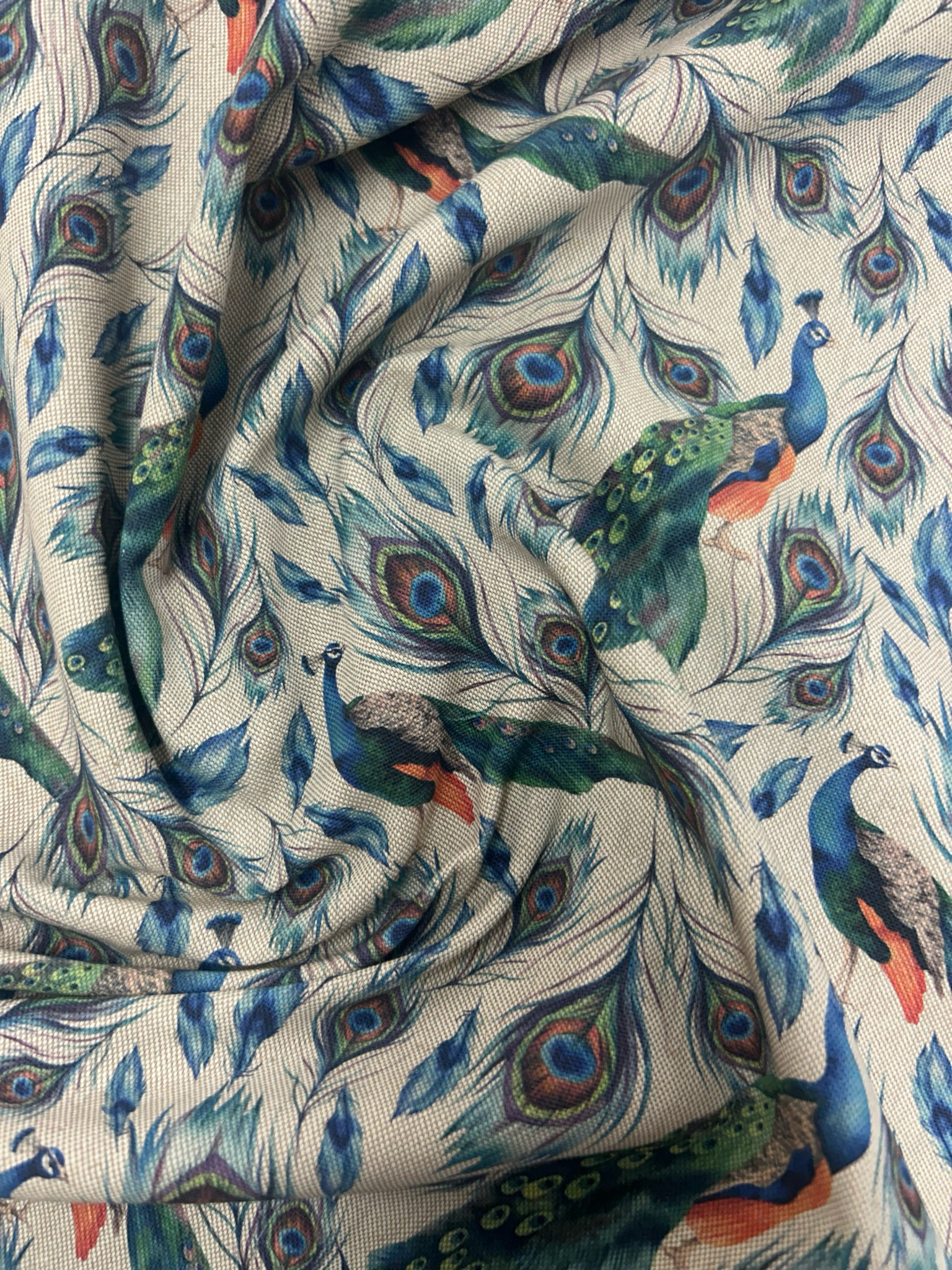 Digital Canvas Peacock