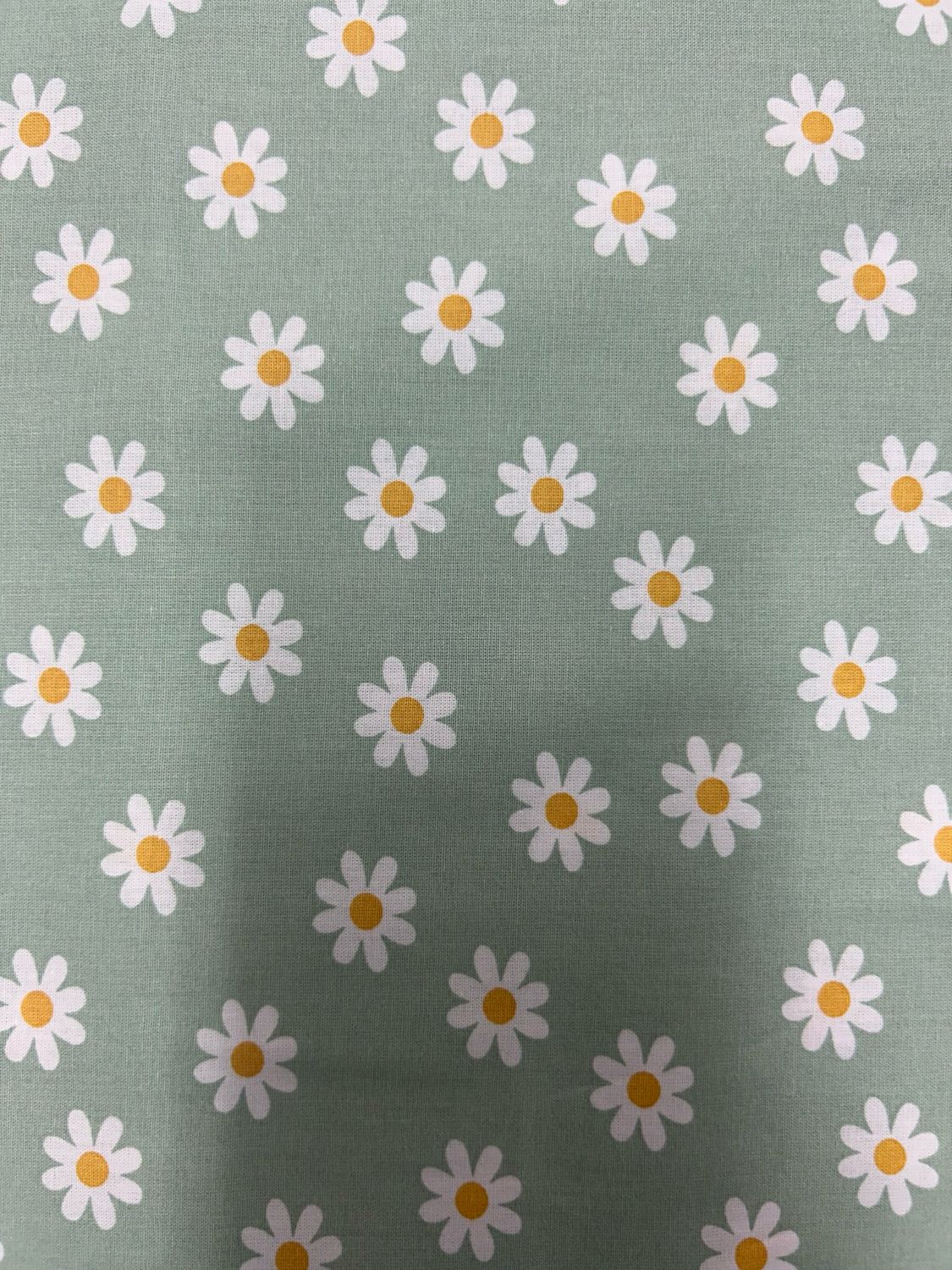 Daisy Flower Sage Green