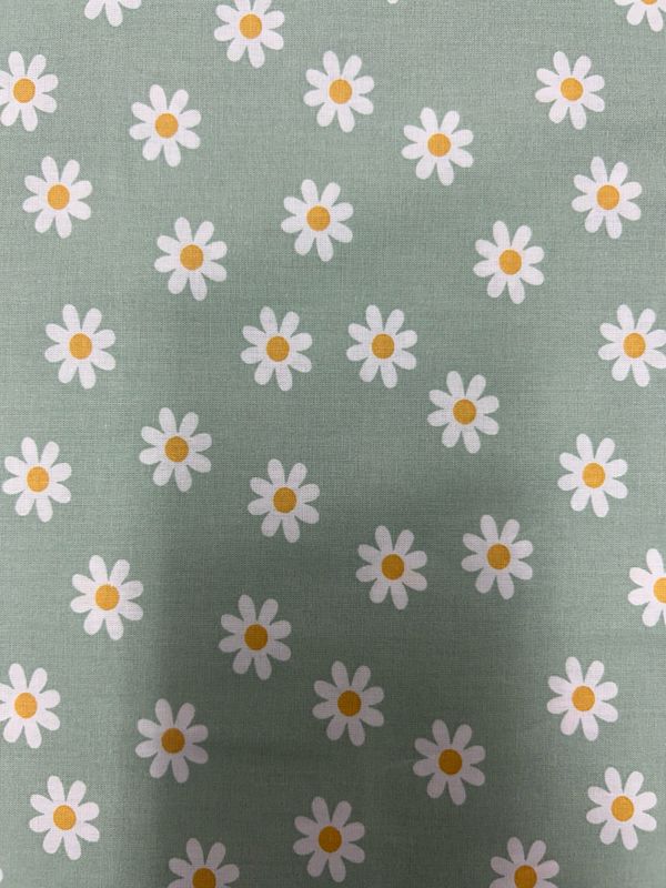Daisy Flower Sage Green