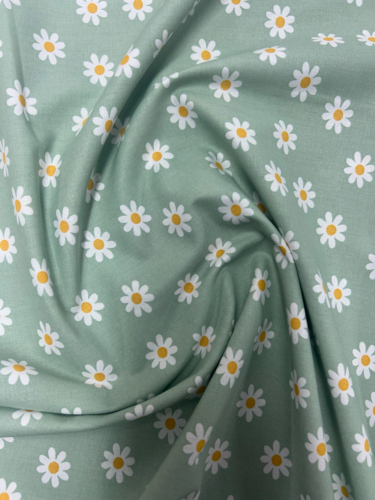 Daisy Flower Sage Green