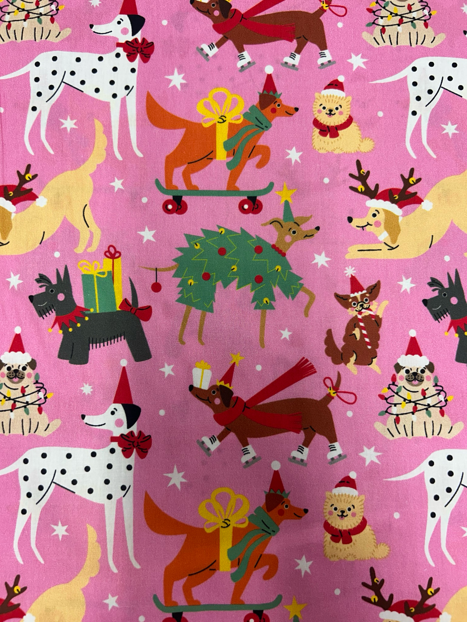 Dogs Christmas Party