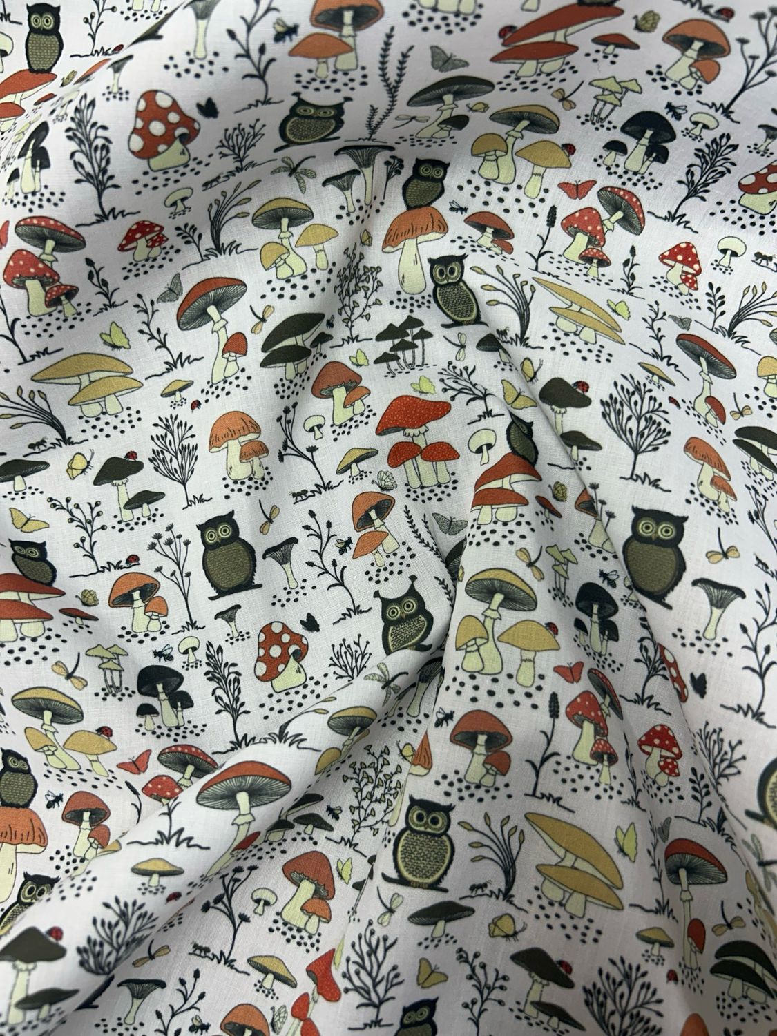 Autumnal Forest Owls